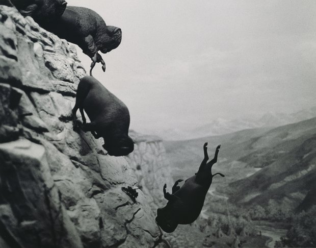 David Wojnarowicz (born 1954, died 1992), Untitled (Buffalo), 1988–89. Vintage gelatin silver print, signed on verso, 28⅝ × 35¾ inches. Collection of Michael Sodomick, Courtesy of the Estate of David Wojnarowicz and P.P.O.W Gallery, New York.